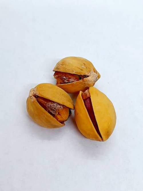 فروش پسته شور درجه یک + فروش عمده